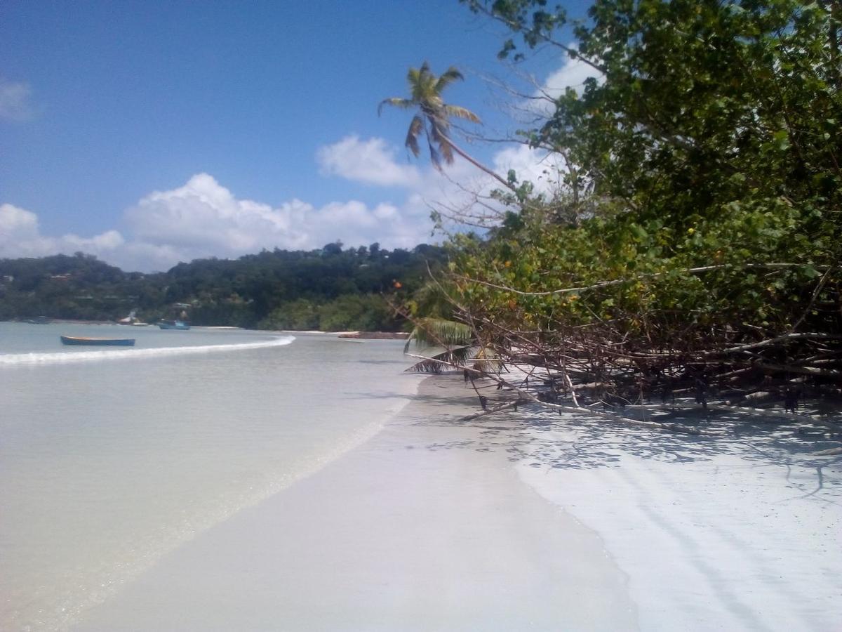 Maison Amantine Anse Royale Luaran gambar