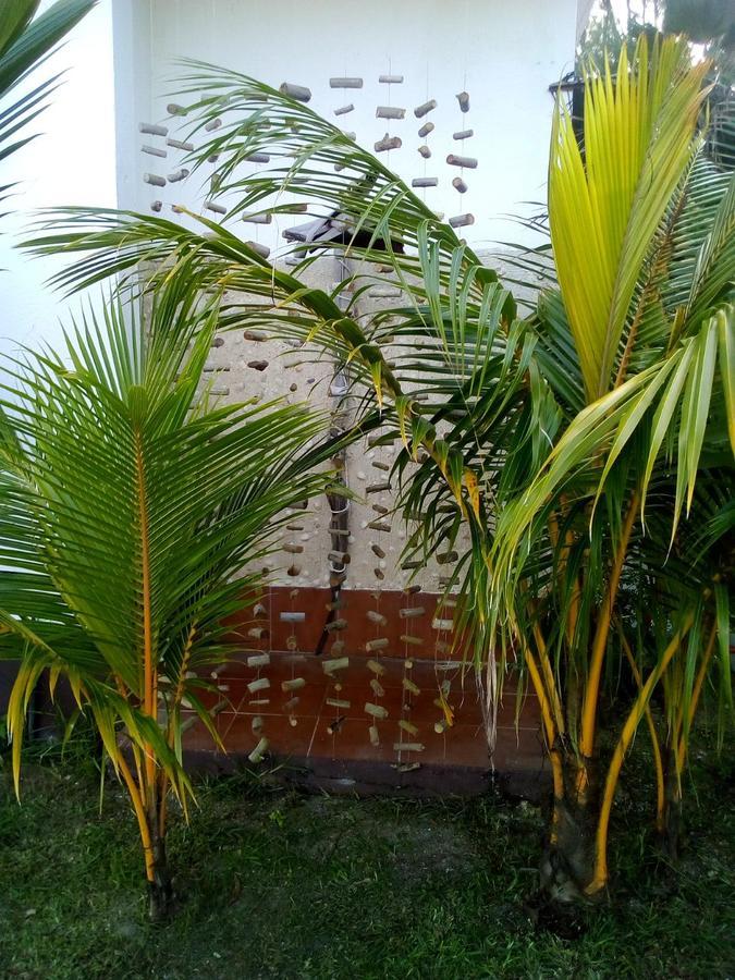 Maison Amantine Anse Royale Luaran gambar